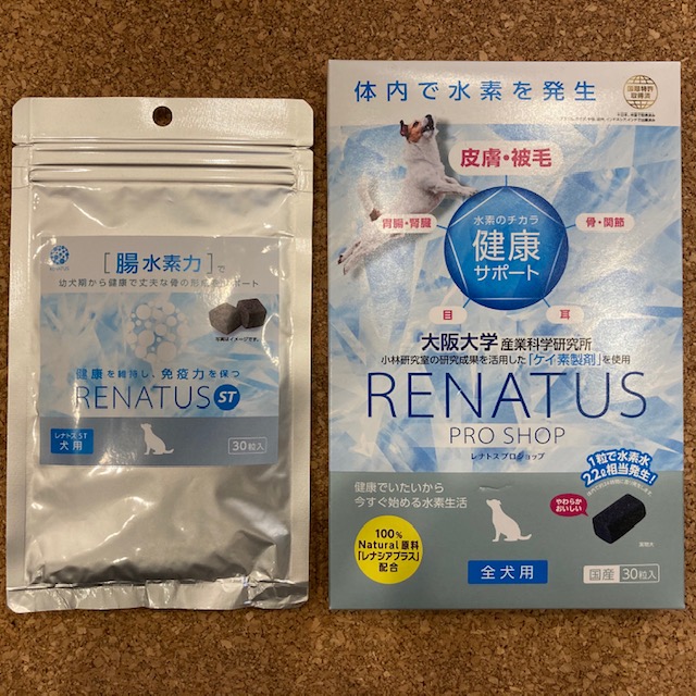 RENATUS(レナトス）