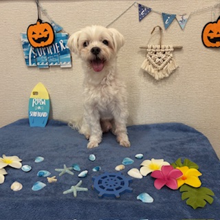 コタロウ君!