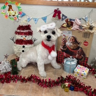 After trimming! 12/17