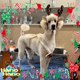 After trimming! 12/12