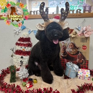 After trimming! 12/21