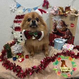 After trimming! 12/21