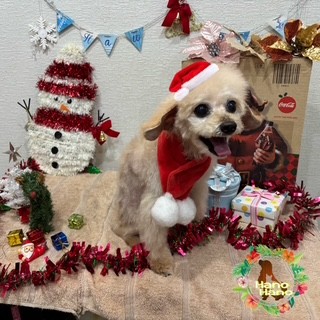 After trimming! 12/21