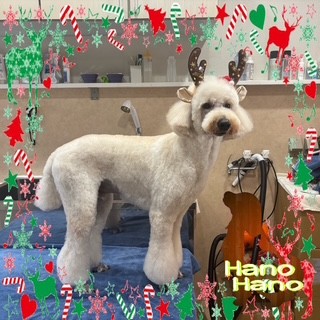 After trimming! 12/23