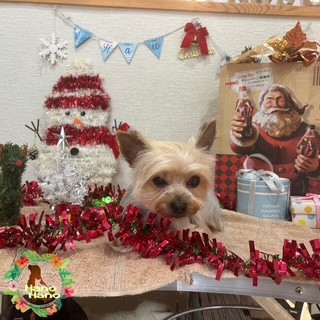 After trimming! 12/23