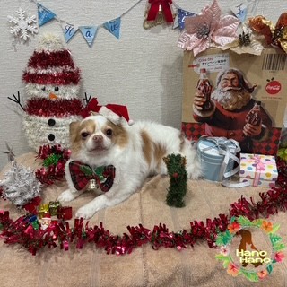 After trimming! 12/24