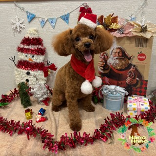 After trimming! 12/25