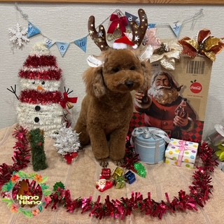 After trimming! 12/25