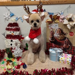 After trimming! 12/25