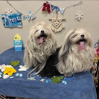 凛々&桃夏ちゃん!