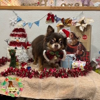 After trimming! 12/25