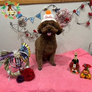 After trimming! 12/26