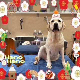 After trimming! 12/27