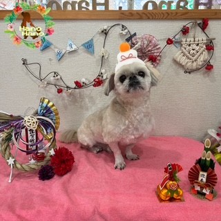 After trimming! 12/27