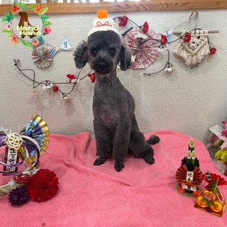 After trimming! 12/28