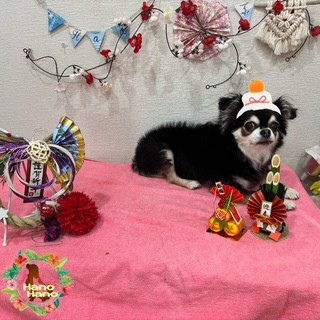 After trimming! 12/28