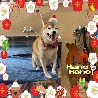 After trimming! 12/29