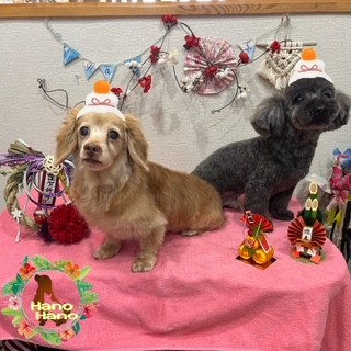 After trimming! 12/29