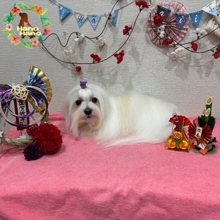 After trimming! 12/30