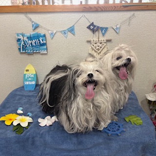 凛々&桃夏ちゃん!