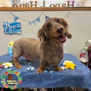 After trimming! 3/31